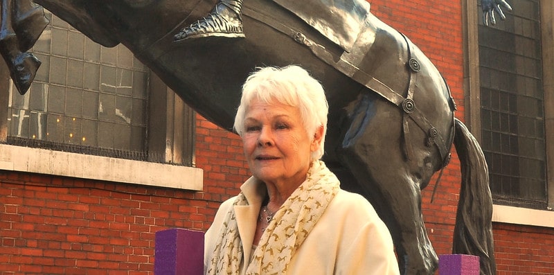 Dame-Judi-Dench