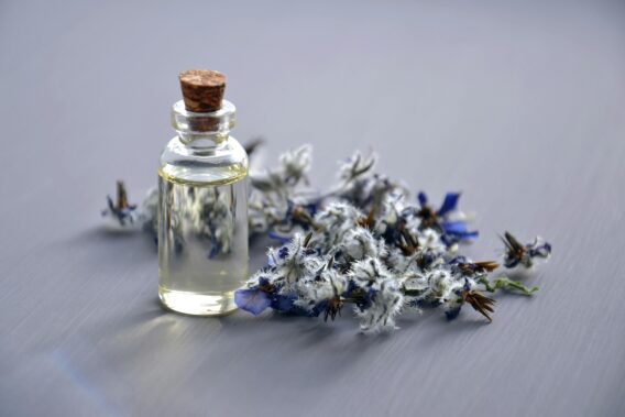lavender-essential-oil