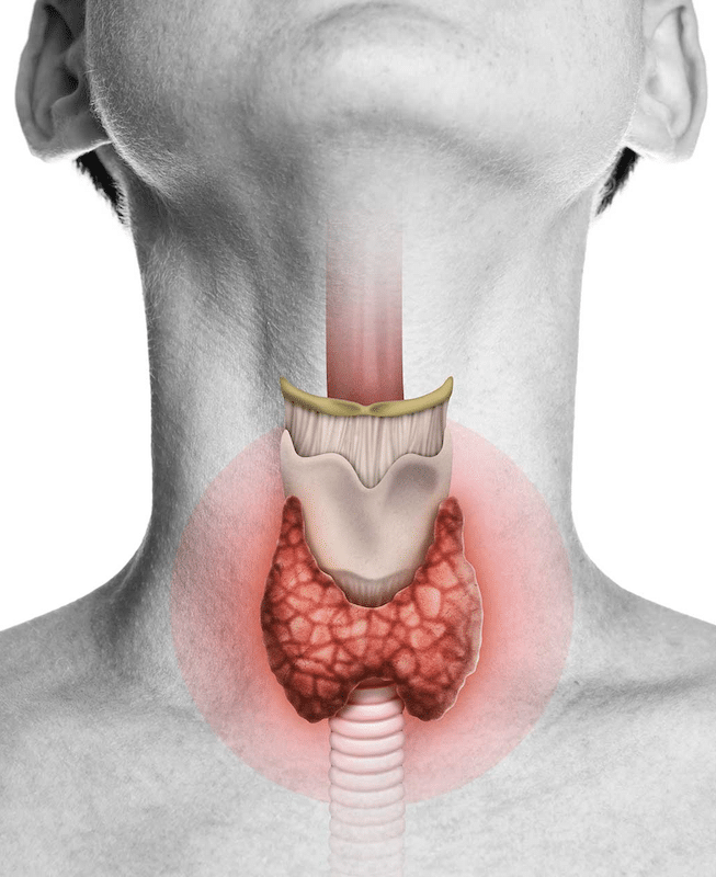 thyroid-menopause