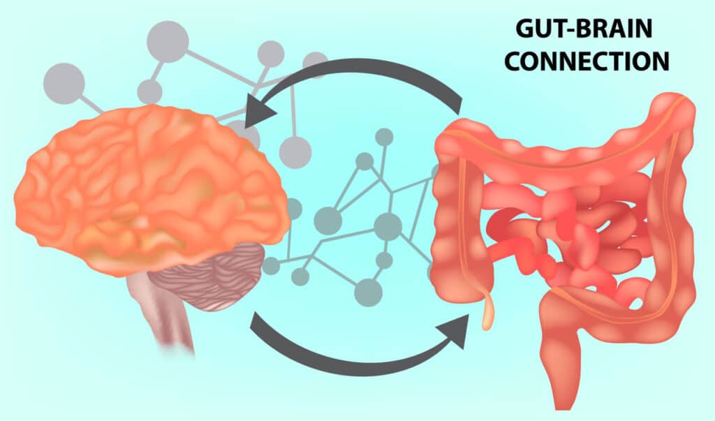 Brain-gut-connection