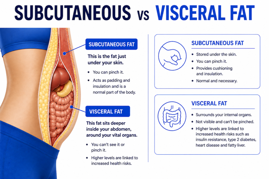 Subcutaneous-vs-visceral-fat